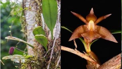 �����ˆT�����ذl(f��)�F(xi��n)4��(g��)�Ї�(gu��)��ӛ䛷N