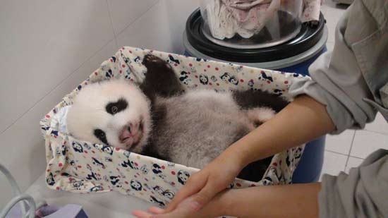 ٛ(z��ng)�_(t��i)����؈�F(tu��n)�F(tu��n)�^���﹝(ji��)����Ů��������˼