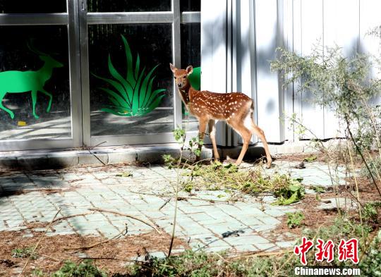 �_(t��i)ٛ(z��ng)���÷��¹����̥¹�����M��ȡ�������족