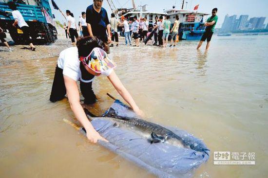 �L��Ұ�������A�\�ўl�R��^���D�������L���˲��η������A�\���DƬ��Դ�W�j