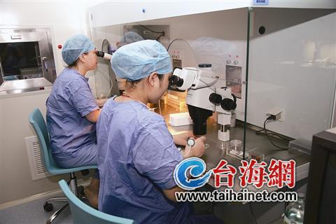 廈門未婚男女追捧冷凍精卵赴臺(tái)灣等地存“保險(xiǎn)”
