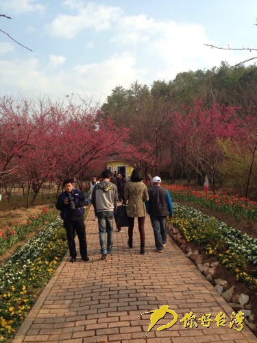 臺商張秋琳 臺商張秋琳