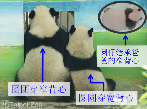 ���F(tu��n)�F(tu��n)�������A�A���ı����ڰ�Ҳ��ͬ��