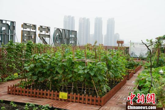 �����ߘǘ��?sh��)ġ��˵ء��Nֲ�˲��ٕr�������O��(qu��n) �z