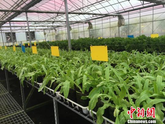 �㽭��(y��u)�����_�����(w��)500�|���Y�����~�ȴل�(chu��ng)�°l(f��)չ