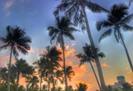 ȫ��(gu��)�_(t��i)��(li��n)��(hu��)�L(zh��ng)���������V�������п���