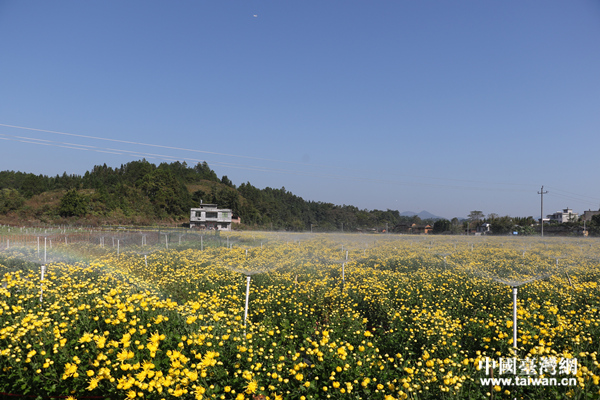 ��ؚ܇�g�����ܶ�ؚ�����ڼ��T�ھ͘I(y��)�����Ї��_���W(w��ng) � �z��