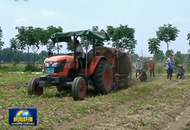 ���r(sh��)�� ������ ��ƪ�¡�ץ���c(di��n) �a(b��)�̰� �Ƅ�(d��ng)�l(xi��ng)��ȫ�����d