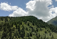 ��Óؚ�������Єӡ����C�r(n��ng)��ĸ�:����"������(j��ng)��(j��)"IP ���F(xi��n)����ͬ��ԣ