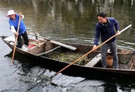 �L�����Ҽҡ������L����(j��ng)��(j��)�����ӵ���