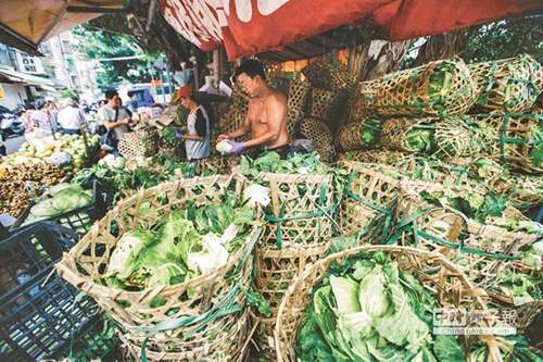 �_���r(n��ng)�a(ch��n)�l�������²˃r���P ���M�h���Gɫ��(zh��)�������r(n��ng)���ܺ����C