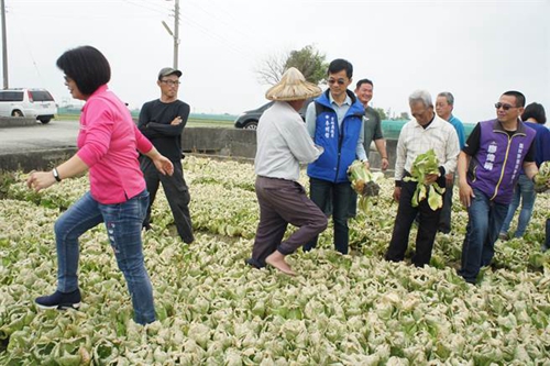 �_���r(n��ng)�a(ch��n)�l�������²˃r���P ���M�h���Gɫ��(zh��)�������r(n��ng)���ܺ����C