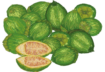 ���������½�