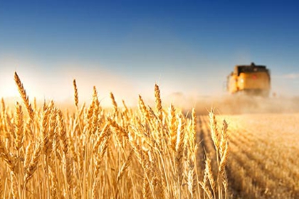 �����̱�����֮Ҫ���^�m(x��)��ȫ��pؚ����Ҫؕ�I