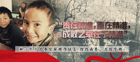 脫貧攻堅(jiān)須壓實(shí)責(zé)任,下一番“繡花”功夫