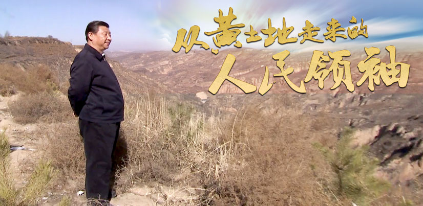 ΢ҕ�l�����S�����߁��������I(l��ng)��