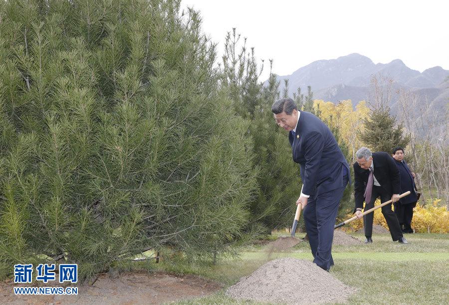 ����ƽ�cAPEC�I(l��ng)������������ֲ�����