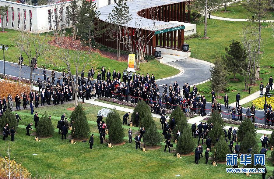 ����ƽ�cAPEC�I(l��ng)������������ֲ�����