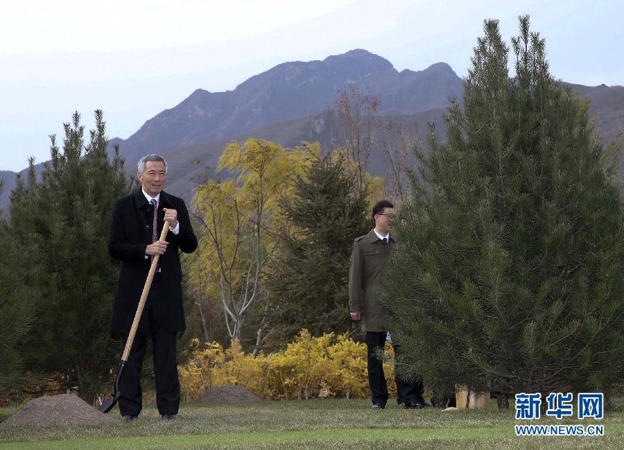 ����ƽ�cAPEC�I(l��ng)������������ֲ�����