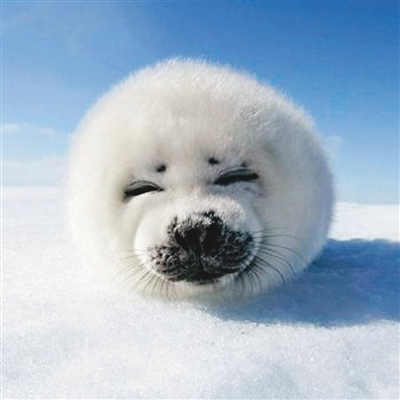 �_�����͡�ʧ�Լ�����ʲô�r���f��������Ԓ��