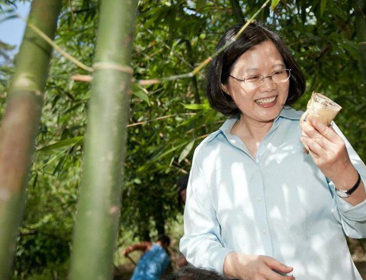 民進(jìn)黨主席蔡英文 民進(jìn)黨主席蔡英文