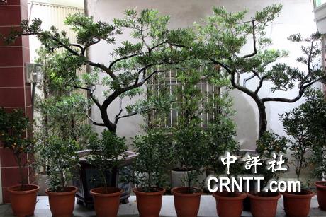 ����ƽ���b�ﴧ����С�� �S��y����ʮ��(�M�D)