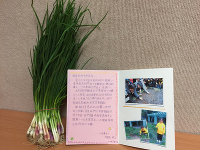 �������ƏVС��@Ӌ(j��)�����^С�W(xu��)���͡��؄e�ĶY�