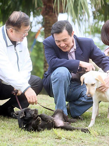 馬英九贊自家寵物“馬小九”一表“狗”才(圖)