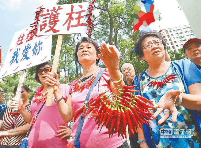 洪秀柱嘆是國民黨最艱苦候選人 選舉受到很多抹黑 洪秀柱嘆是國民黨最艱苦候選人 選舉受到很多抹黑