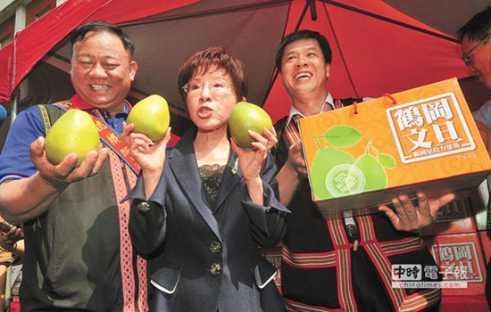 洪秀柱將拍微電影出新書花小錢打文宣戰(zhàn)(圖)