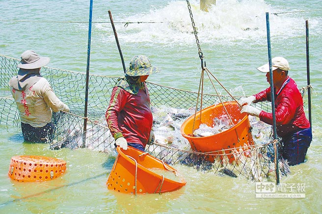 �������桰���С� �_(t��i)�r(n��ng)�O�I(y��)���G�I�s�M���^