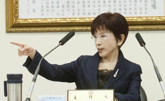 國(guó)民黨主席洪秀柱 國(guó)民黨主席洪秀柱