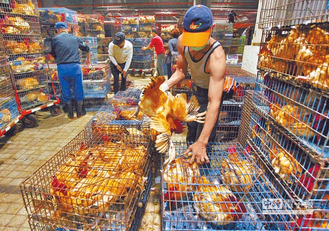 �_(t��i)��(d��ng)�֡��r(n��ng)ί��(hu��)��ί�����t16��������17����r(sh��)��ȫ�_(t��i)���ݽ��׽��\(y��n)7�������҃�(n��i)��B(y��ng)��ֱ���͵����׈�(ch��ng)���׵İ����u��1���g���r�u���ڴ���