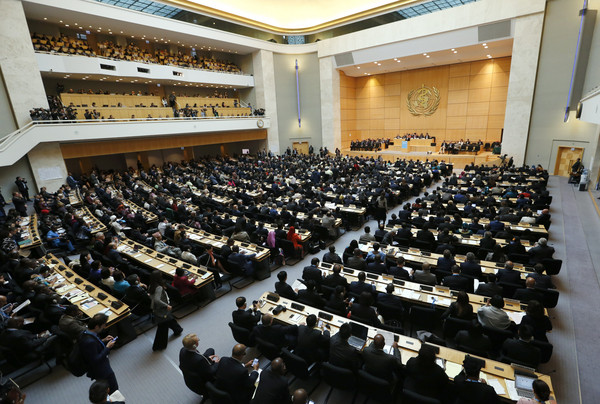 �_(t��i)ý�w�˔���:�o(w��)"�Ŷ����R(sh��)" �_(t��i)���^�ղ���WHA��Ո(q��ng)��