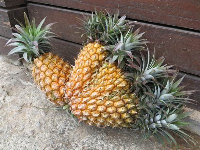 �P����r(n��ng)ˎ�����ɳ��W��ǧ�� �{�I���̮��ֆʱM����