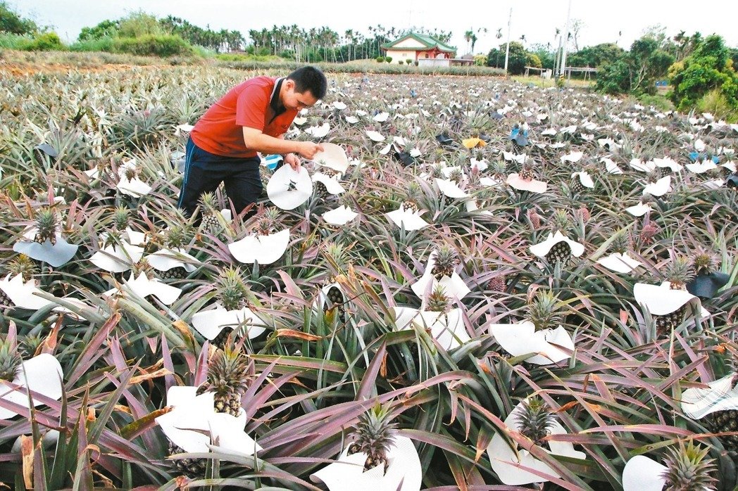 ����ο��J�p�؄�(chu��ng)�_�^��I(y��) �P���֘I(y��)�߰��f�I(y��)������