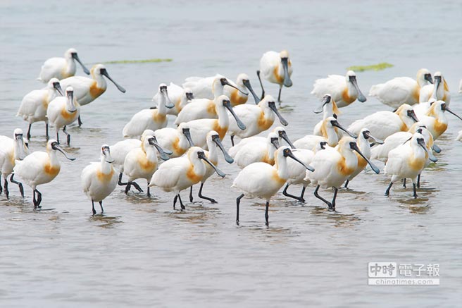 �̮�(d��ng)���Ɖĝ�ؽ���늏S��������Ӌ(j��)��һ����Ϳ