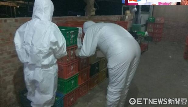 臺“農(nóng)委會”才驗完雞蛋場宣告沒事 嘉義又爆毒蛋 臺“農(nóng)委會”才驗完雞蛋場宣告沒事 嘉義又爆毒蛋