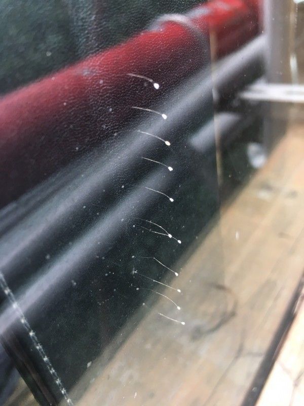 臺(tái)異象政治學(xué):日暈叫蔡英文領(lǐng)導(dǎo)人 冰雹稱馬英九妖孽 臺(tái)異象政治學(xué):日暈叫蔡英文領(lǐng)導(dǎo)人 冰雹稱馬英九妖孽