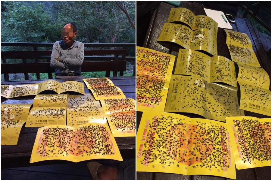 ���ɹ�׃���nω�ȡ� ���r(n��ng)�u�S�����񱊱�����ω