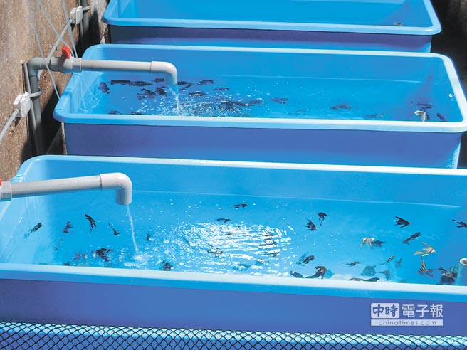 �_܊܊Ş�а����J���`�s��5�|�J���ֻ�Q1���~�����DƬ��Դ���_�����Еr��ӈ󡷣�