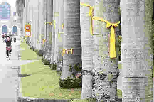 ��W�Y�x�����h