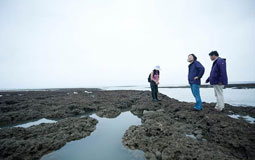 �_(t��i)�W(w��ng)�Ѱǲ�Ӣ���f��ʹ�����^����������Խ�r(sh��)�յĴ�Ę