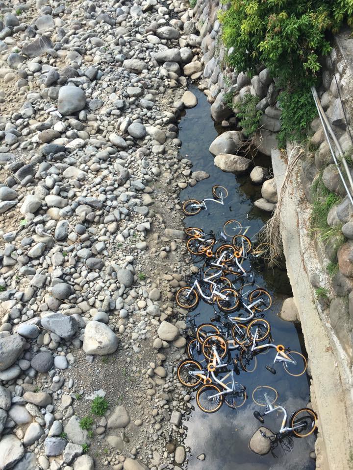 ȫ�_ֻ��һ�ҵĹ����܇��Ű�K��Ҫ�����Ҫ����