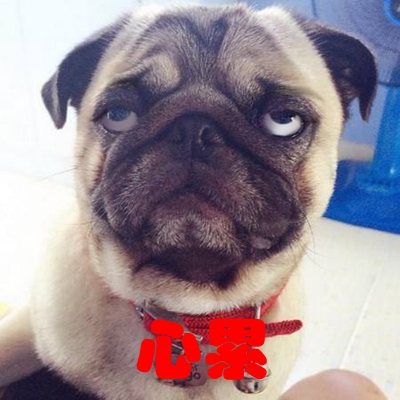 臺灣文言文鬧劇又迎“反轉(zhuǎn)大戲” 蔡當(dāng)局為“去中”教壞年輕一代 臺灣文言文鬧劇又迎“反轉(zhuǎn)大戲” 蔡當(dāng)局為“去中”教壞年輕一代