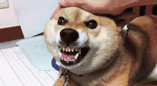 ���M(j��n)�h���p��֧���ʴ���P(p��n)���B�����΢�ı��϶�������