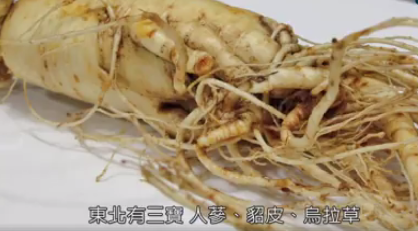 �ݼ���ը�ġ��r���������K�ڳ���݋���������D�İ�Ԕ��