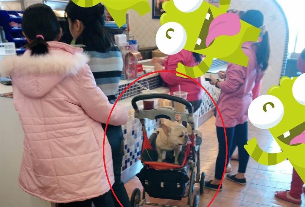 ����ُ(g��u)������Ůͽ��u��(ch��ng)���� �냺܇���ƌ�������DƬ��(l��i)Դ��Ę�V�W(w��ng)��