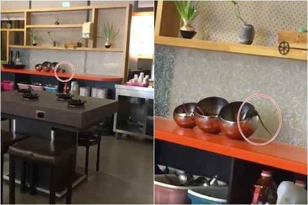 ������偵�����y�Z��̽�^���ɳ���u�����DƬ��(l��i)Դ��Ę�V�W(w��ng)��