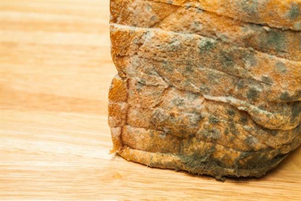 吐槽大會(huì):臺(tái)大醫(yī)生救人反遭誣告 感嘆“在臺(tái)灣當(dāng)醫(yī)生豬狗不如” 吐槽大會(huì):臺(tái)大醫(yī)生救人反遭誣告 感嘆“在臺(tái)灣當(dāng)醫(yī)生豬狗不如”